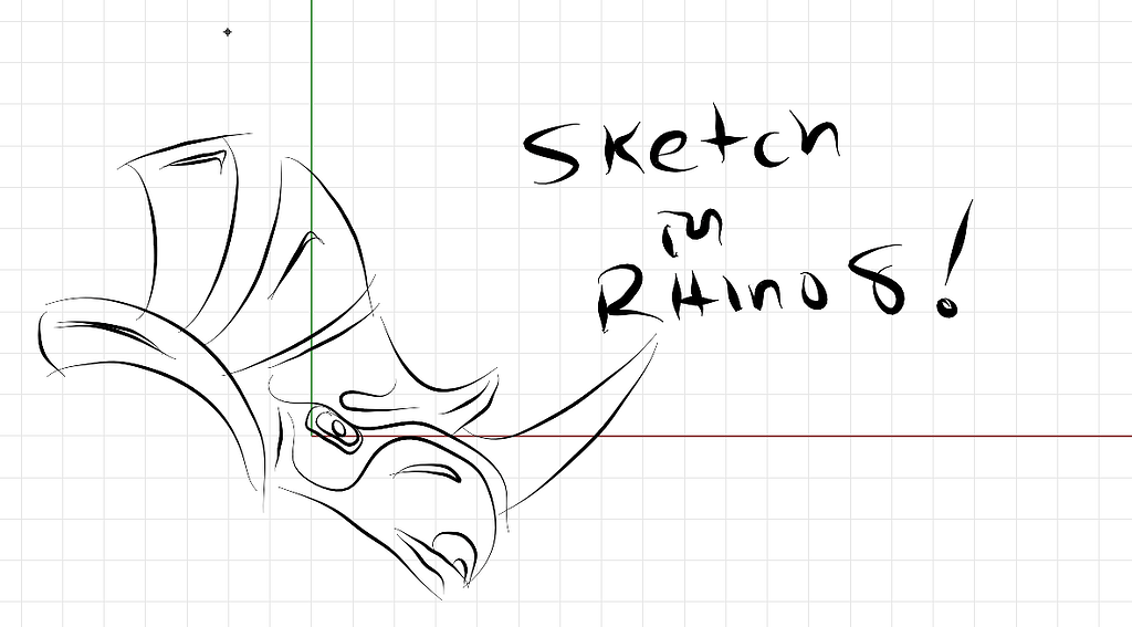 Sketch Rhino